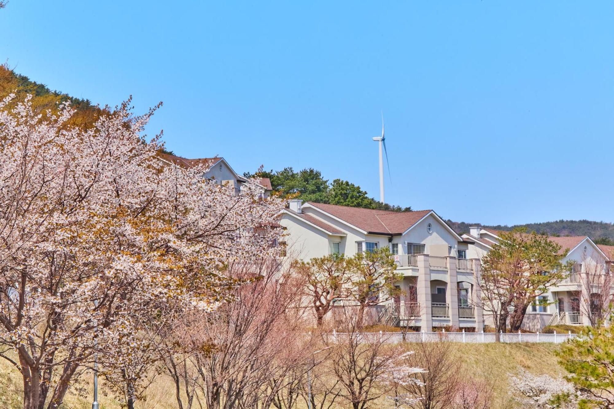 Gyeongju Mauna Ocean Resort Exterior foto