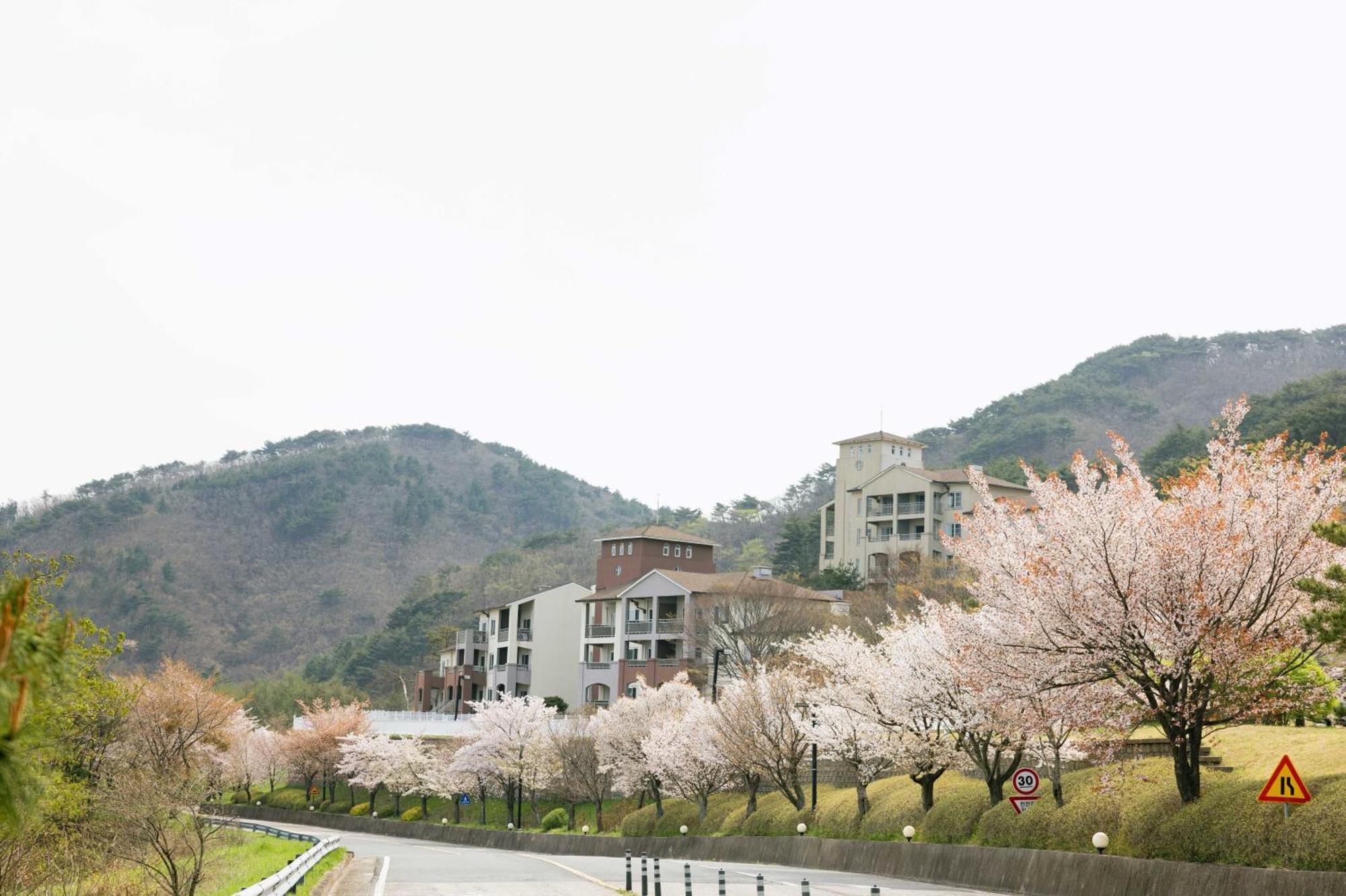 Gyeongju Mauna Ocean Resort Exterior foto