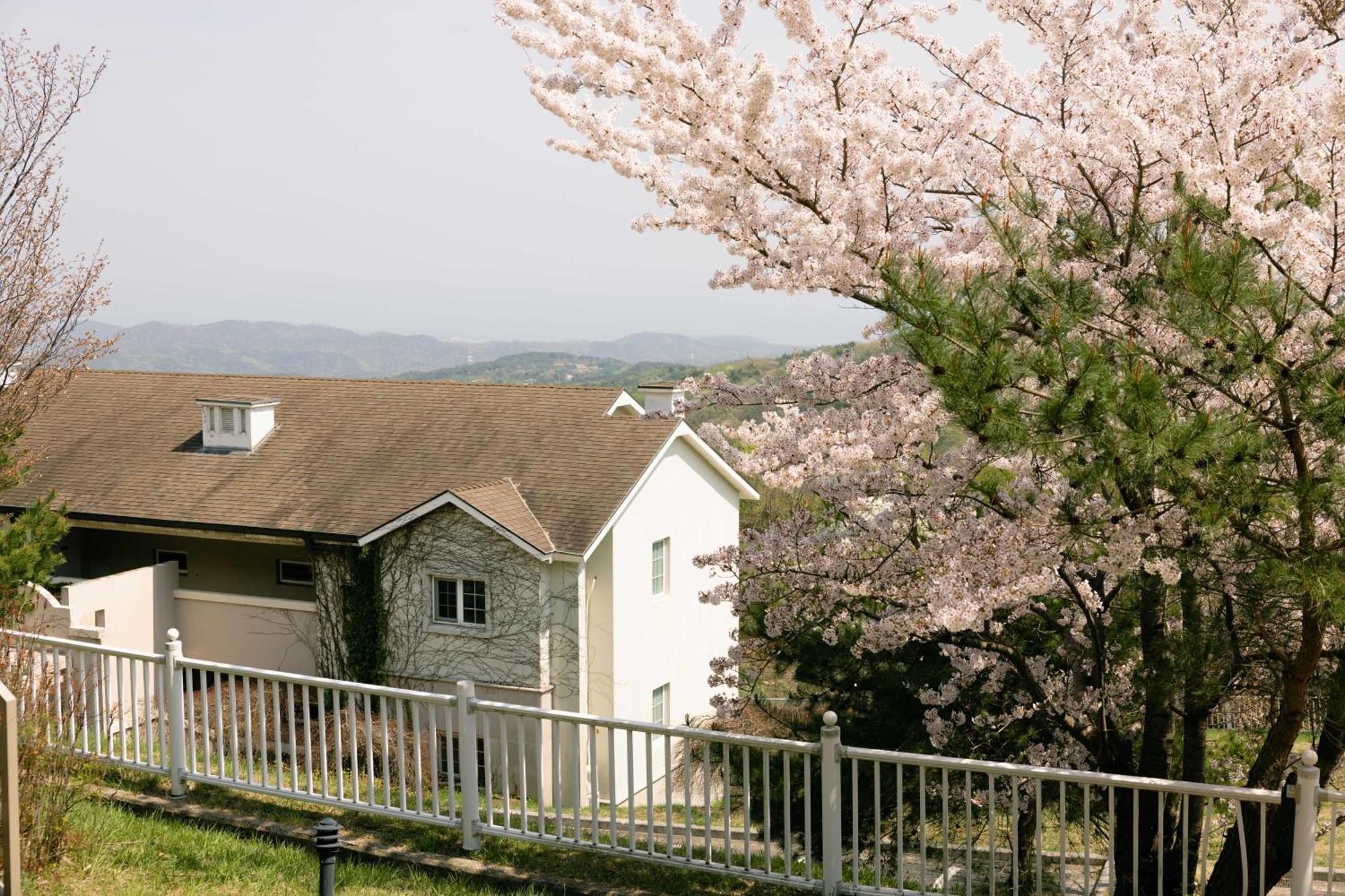 Gyeongju Mauna Ocean Resort Exterior foto